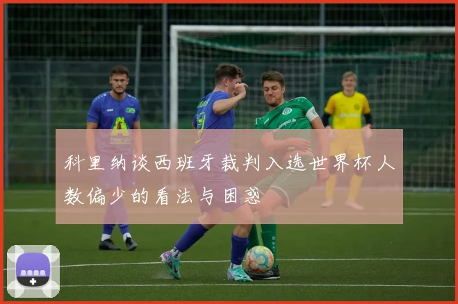 科里纳谈西班牙裁判入选世界杯人数偏少的看法与困惑