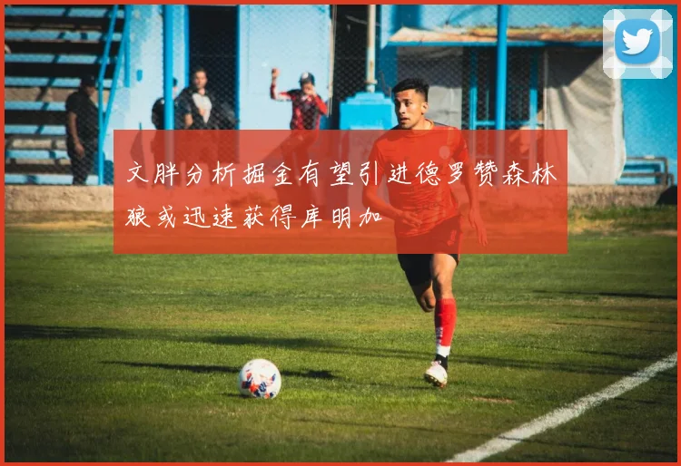 文胖分析掘金有望引进德罗赞森林狼或迅速获得库明加