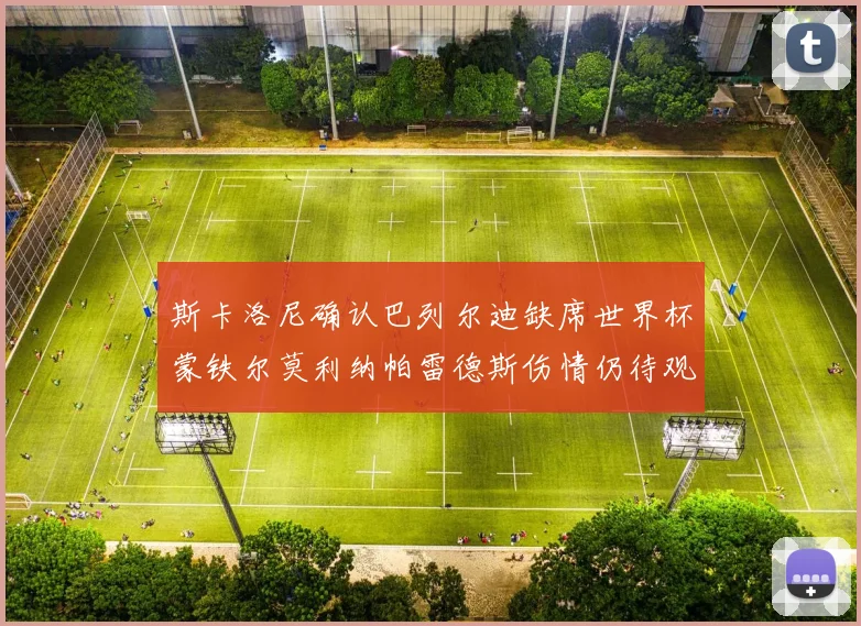 斯卡洛尼确认巴列尔迪缺席世界杯蒙铁尔莫利纳帕雷德斯伤情仍待观察